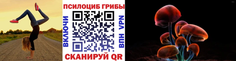 Купить где  Новотитаровская  Псилоцибиновые грибы Psilocybe 
